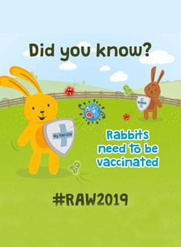 Rabbit awareness week 2019