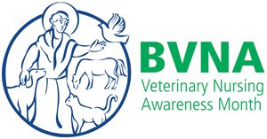 BVNA logo