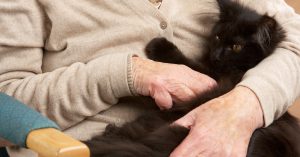 Elderly woman and cat
